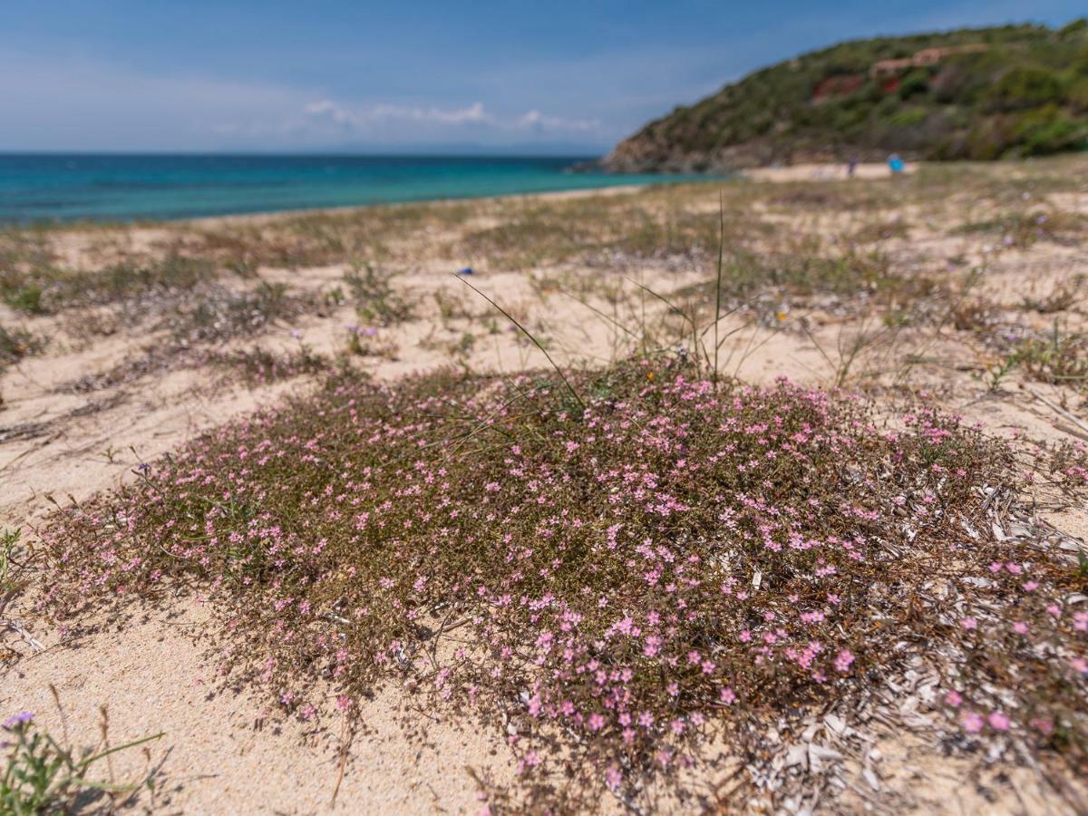 Sardinia Spa Apartment เจเรเมอัส ภายนอก รูปภาพ